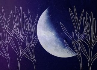 NOUVELLE LUNE, 6 octobre 2021 ~ UNE ABONDANCE D’ÉNERGIES TRANSFORMATRICES